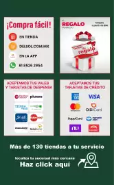 Folleto DelSol Página 31