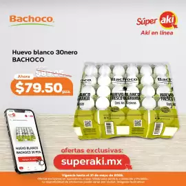 Catálogo Super Aki Página 5