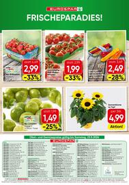 Eurospar Flugblatt Seite 16