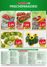Eurospar Flugblatt Seite 16