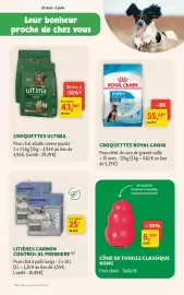 Catalogue Maxi Zoo page 2