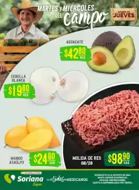 Catálogo Soriana Súper Página 1