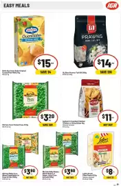 IGA catalogue week 21 Page 29