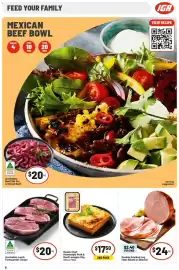 IGA catalogue week 21 Page 9