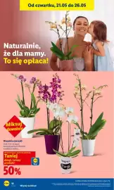 Lidl gazetka Strona 12