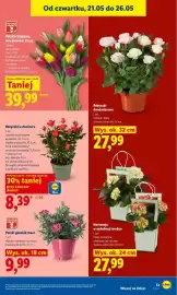 Lidl gazetka Strona 13