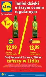 Lidl gazetka Strona 22