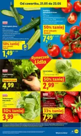 Lidl gazetka Strona 41