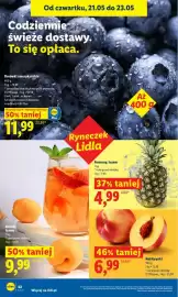 Lidl gazetka Strona 42
