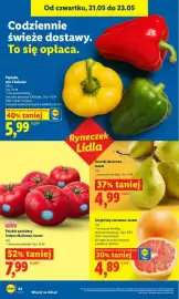 Lidl gazetka Strona 44