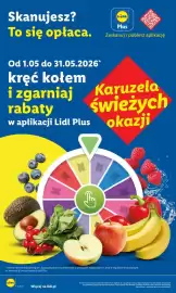 Lidl gazetka Strona 46