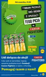 Lidl gazetka Strona 73