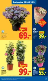 Lidl tilbudsavis Side 37
