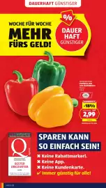 Hofer Flugblatt woche 21 Seite 4
