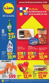 Catalog Lidl săptămâna 22 Pagină 1