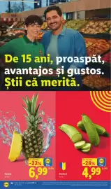Catalog Lidl săptămâna 22 Pagină 22