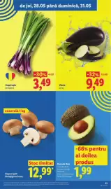 Catalog Lidl săptămâna 22 Pagină 23