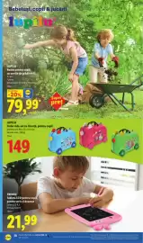 Catalog Lidl săptămâna 22 Pagină 38