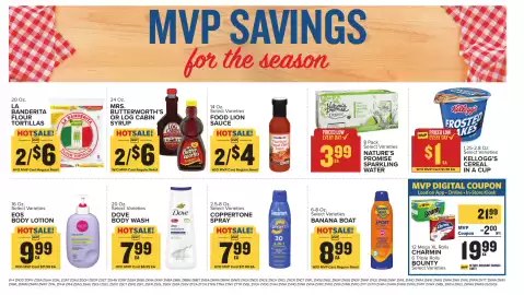 Food Lion weekly ad week 21 Page 12