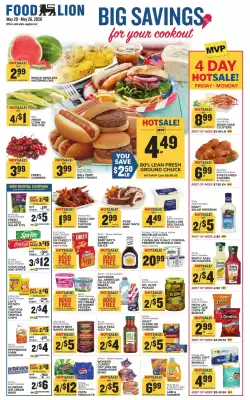 Food Lion (valid until 26-05)