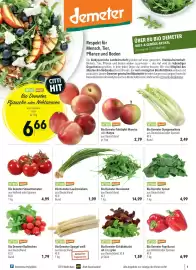 CITTI Markt Prospekt woche 21 Seite 7