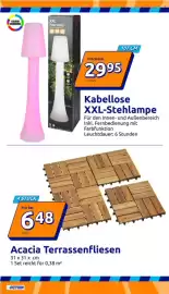 Action Prospekt woche 21 Seite 10