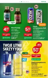 Żabka gazetka Strona 33