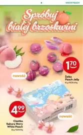 Żabka gazetka Strona 87