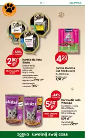 Żabka gazetka Strona 96
