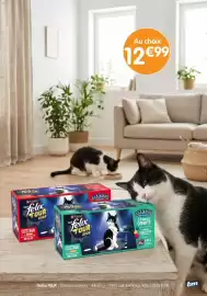 Catalogue b&m page 13