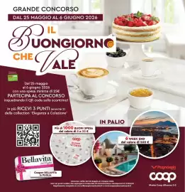 Volantino Coop Master Alleanza 3.0 settimana 21 Pagina 17