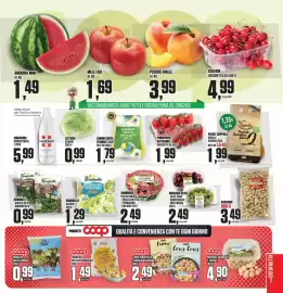 Volantino Coop Master Alleanza 3.0 settimana 21 Pagina 7