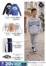 Catálogo Carrefour Página 21