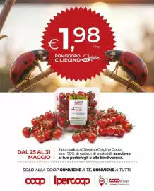 Volantino Ipercoop Pagina 13