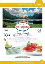 Volantino GrosMarket Pagina 17