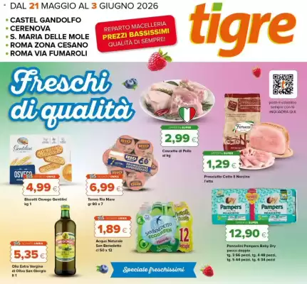 Volantino Tigre (valido fino al 3-06)