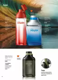 Catálogo Natura Página 40