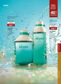 Catálogo Natura Página 41
