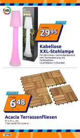 Action Flugblatt woche 21 Seite 10