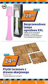 Action gazetka tydzień 21 Strona 10