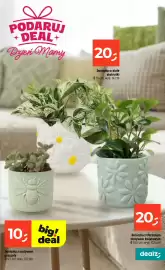 Dealz gazetka tydzień 21 Strona 17