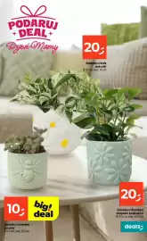 Dealz gazetka tydzień 21 Strona 17