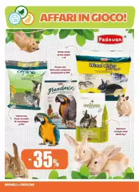 Volantino Elite Pet Pagina 14