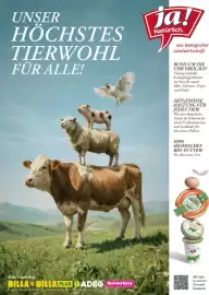 Billa Flugblatt Seite 100