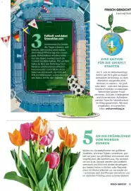 Billa Flugblatt Seite 11