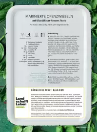 Billa Flugblatt Seite 133