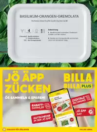 Billa Flugblatt Seite 141