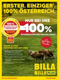 Billa Flugblatt Seite 167