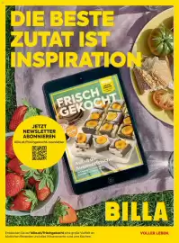 Billa Flugblatt Seite 42