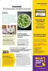 Billa Flugblatt Seite 5